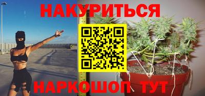гидра Тверь