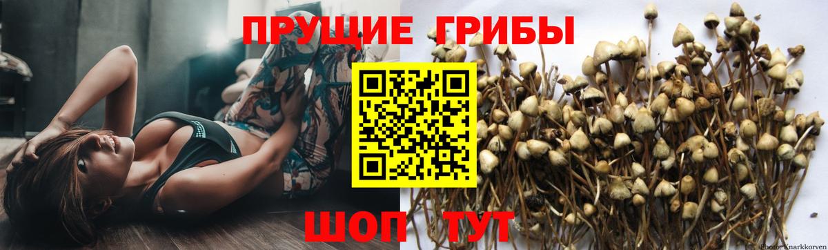 Галлюциногенные грибы прущие грибы  Вход с VPN  купить  цена  Мирный 